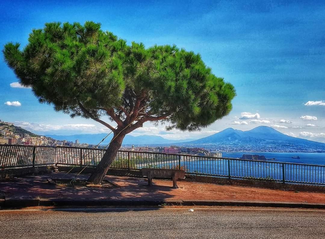 Dint e viche e Napule Guest House Napoli Esterno foto